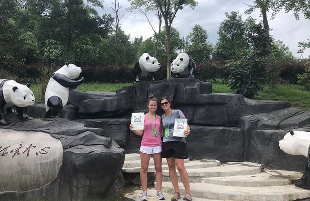 Chengdu Wolong Panda Base Volunteer Experience Trip