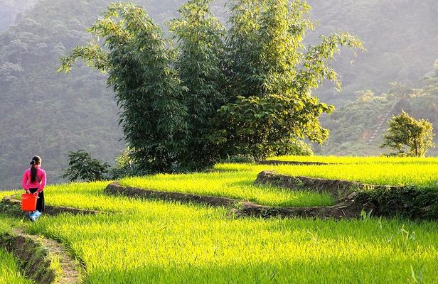 Sapa Valley Trek and Homestay - 3D2N