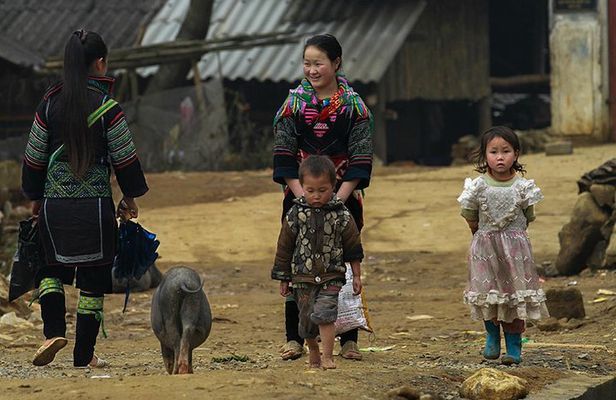 Muong Hoa Valley Trek & Homestay Experience - 4D3N