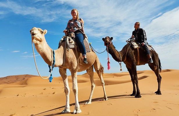 Quad Biking & Dromedary Riding