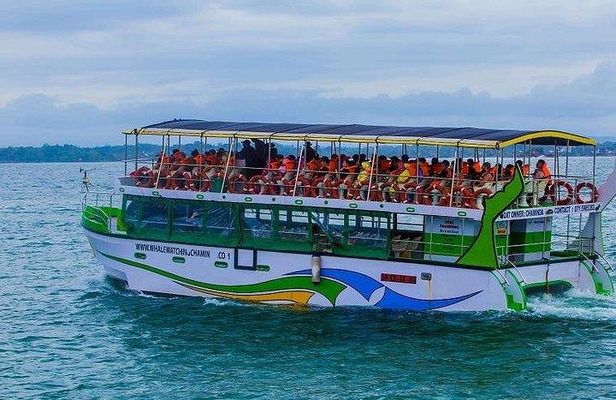 Whale & Dolphin Watching Day Tour including Handunugoda Teafactory 