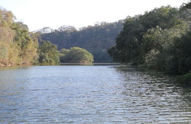 Mangrove Kayak