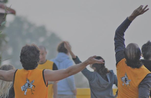 Morning Course - Shaolin Kung Fu and Qigong Training