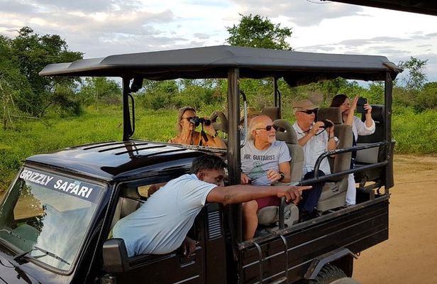 Yala half day safari