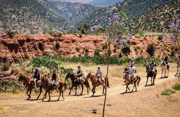 Horse Ride at the Marrakech Desert