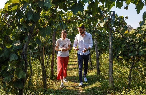 KUTAISI, WINE & DINE - Group tour from Tbilisi