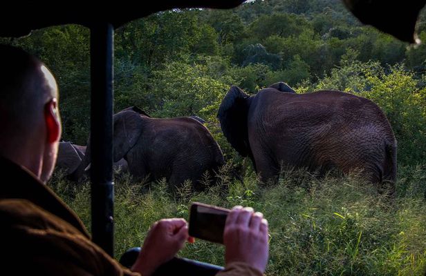 iSimangaliso Wetland Park, Night Drive Safari