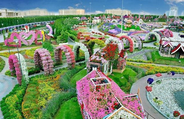 Miracle Garden Ticket Dubai with Shared Transfers
