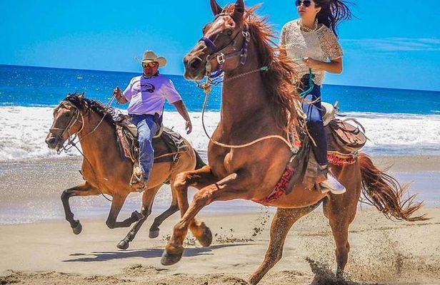 Horseback Riding & ATV Combo! Mountain Trails & Beautiful Beaches of BAJA!