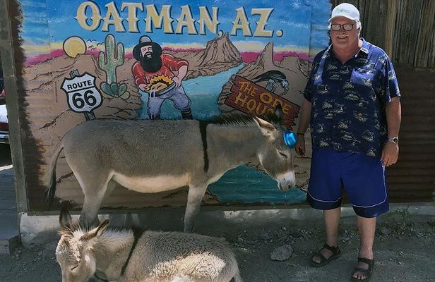 Oatman Mining Camp Burros Museums Scenic RT66 Tour