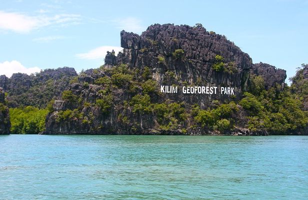 Kilim Geoforest Mangrove Boat Tour (Sharing)
