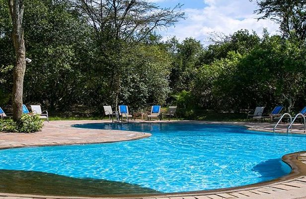 3 Day Masai Mara Safari