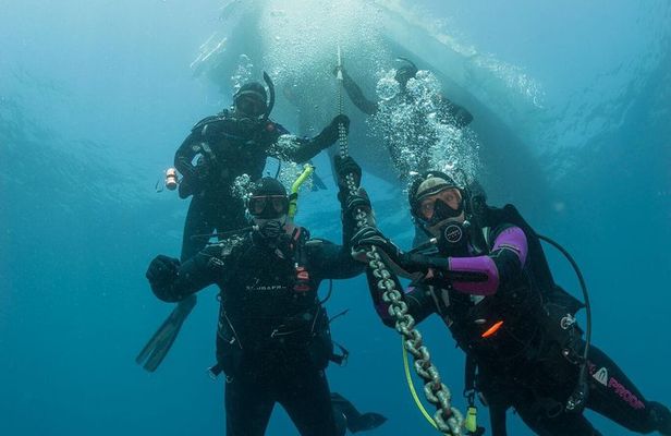 Fun Dives For Certified Divers