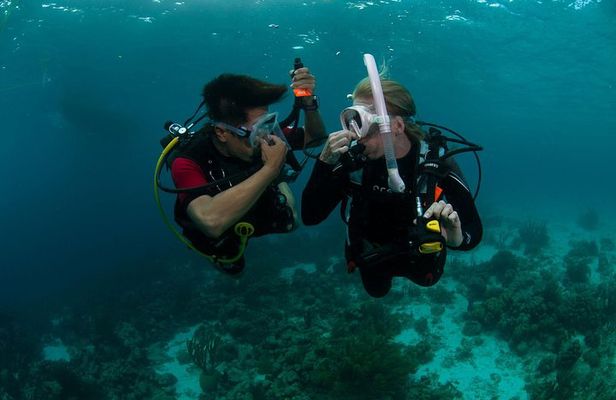 PADI Scuba Diver Course