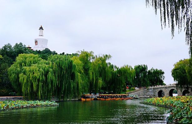 Private 5-Hour Walking Tour: Forbidden City, Hutong&Parks Nearby