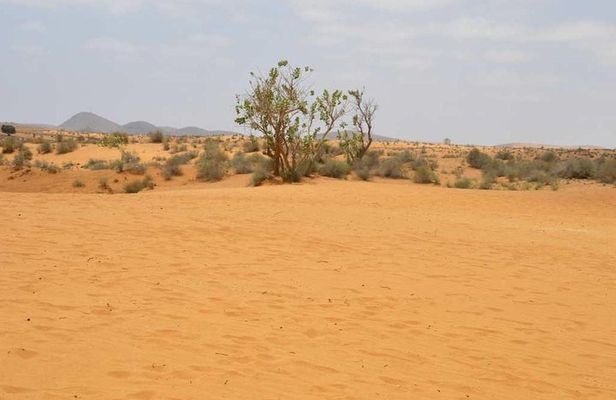 Half Day desert wild animal Park from Agadir by 4x4