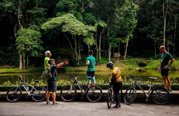 Mountain bike Tijuca Rain Forest