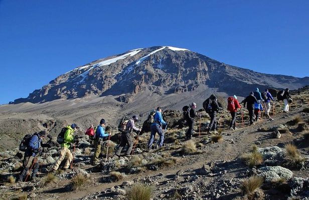Kilimanjaro Climb - 8 Days Lemosho Route