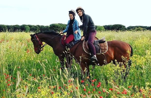 Horse Sanctuary & Trail Ride
