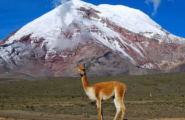 Adventure in Chimborazo: Hiking and Ascent from Quito