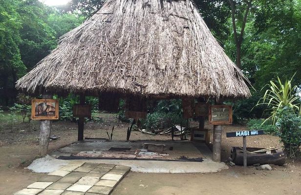 Authentic Cultural and Historical Village Tour of Nadi Ex Fiji Marriott Resort
