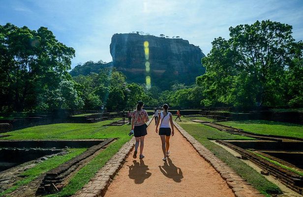 Exclusive : Sigiriya Rock Fortress and Dambulla Cave Temple Tour