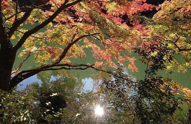 Tokyo Countryside Exploration Private Tour