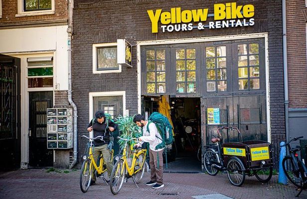 Amsterdam Light Festival Guided Bike Tour