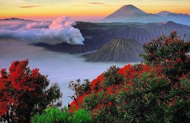 Bromo Ijen Tour From Bali