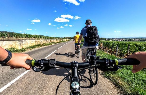 Discovery by bike & Tasting in the vineyards