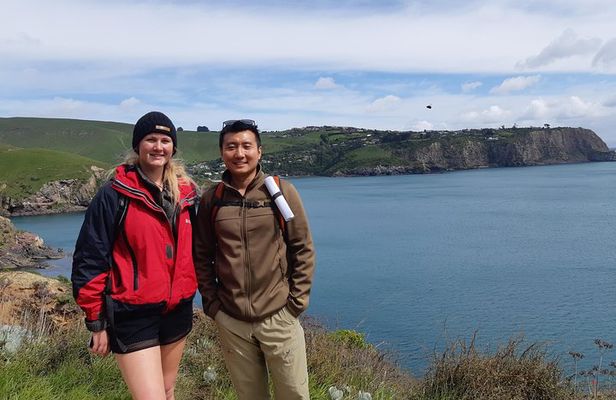 Guided Walking Tour & Scenic Drive - Lyttelton & Godley Head