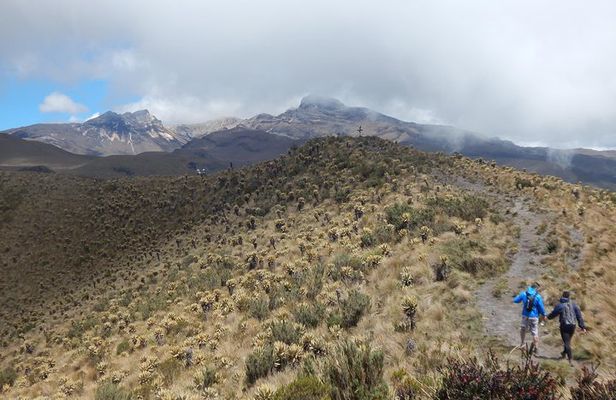 Discover Frailejones in Los Nevados National Natural Park (2 days)