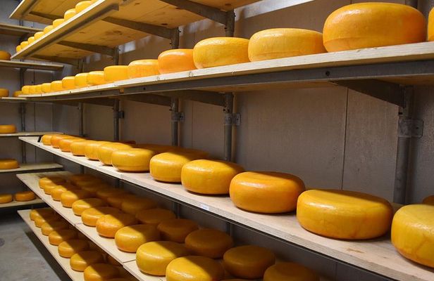 Cheese Clogs Windmills & Countryside Private Tour in Jaguar