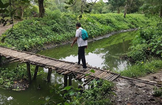 Walk the Kolkata Wetlands: Green Eye Candy