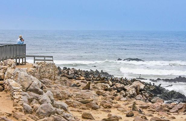 Full Day Drive to Cape Cross