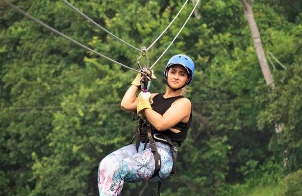 Zipline Adventure In The Rainforest
