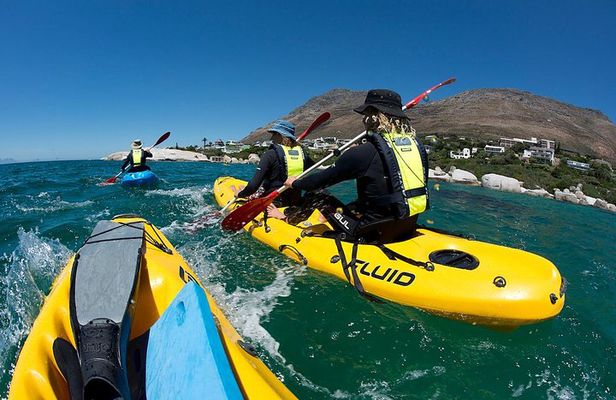 Paddle with the Penguins