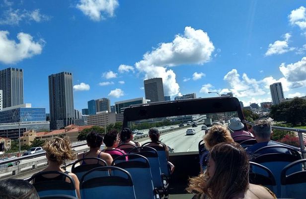 Best of Miami: City Tour, Bay Cruise and Everglades Airboat Ride