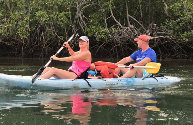 Kayak to the Heart of the National Park