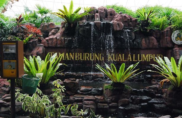 Kuala Lumpur Bird Park & Butterfly Farm Tour