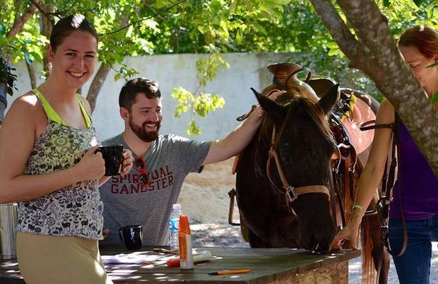 Award-winning Classic Horseback Ride (max. 6 riders)