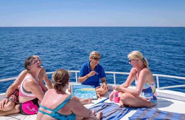 Overnight Trip To El Ain Sokhna Red Sea From Cairo
