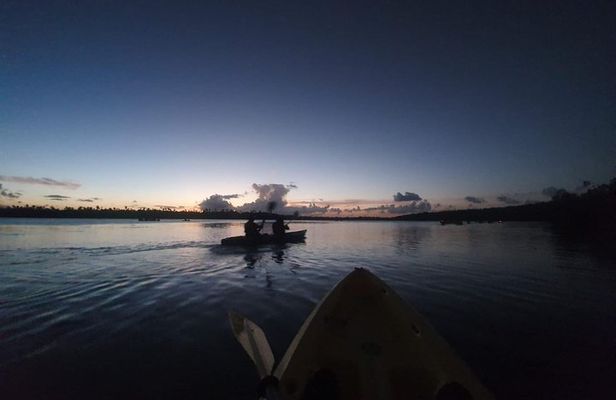 Night Kayaking Experience on Bioluminescent Lagoon in Fajardo