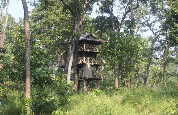 Jungle Towernight Stay In Chitwan National Park ,nepal-2 Nights 3 Days Package