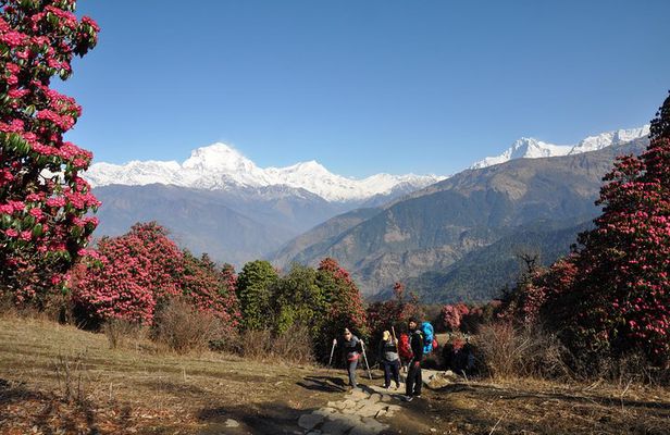 Nepal Round Tour with Annapurna Trek 14 Days