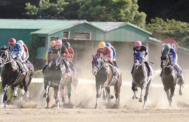 A tour to enjoy Japanese official gambling (horse racing, bicycle racing, pachinko)