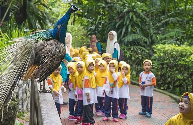 Bird Park & Butterfly Farm Nature Tour From Kuala Lumpur