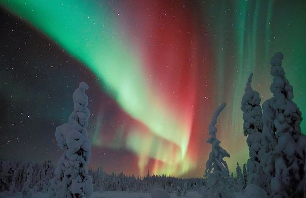 Northern Lights Hunt Including Snacks on Campfire from Levi
