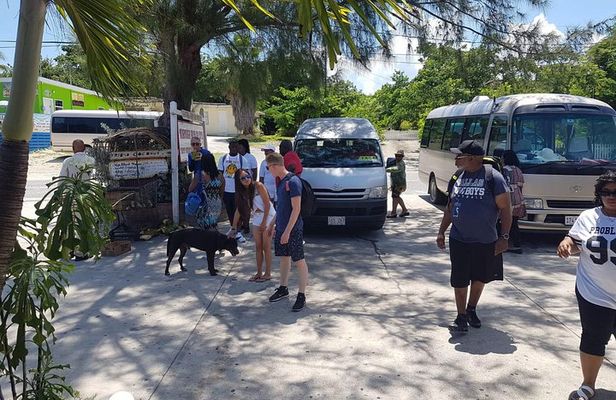 Scenic Island Private Tour