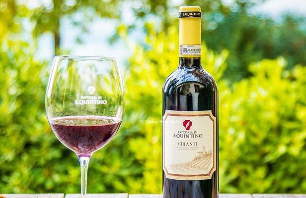 Guided tour in San Miniato and wine tasting!